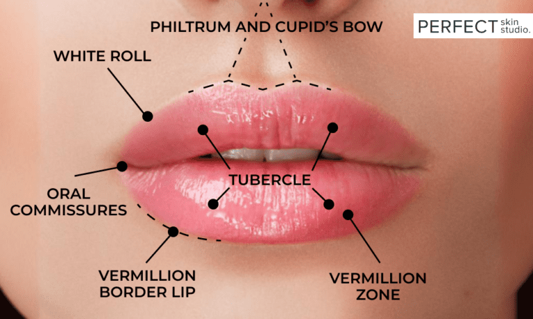 Different Types of Lip Shapes and How to Find Yours